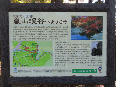 109嵐山渓谷2