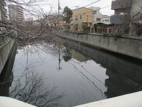 41海老川橋5
