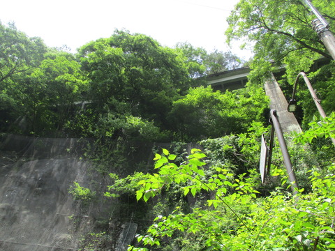 183白髭トンネル1