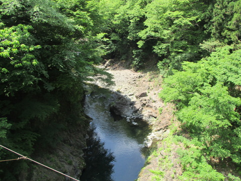 246道所橋4