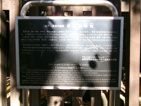 172牛嶋神社２８