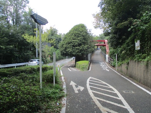 92多摩湖自転車歩行者道12