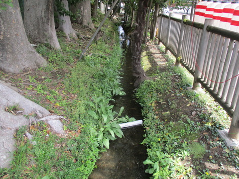 194小川用水3