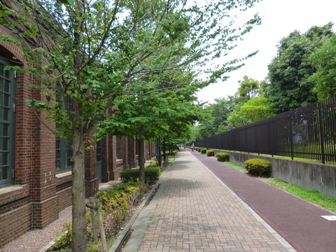 50北区立中央図書館２