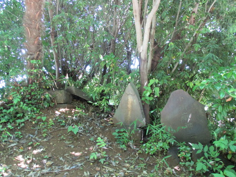 41富士塚5