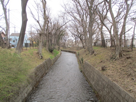 32宮の橋3