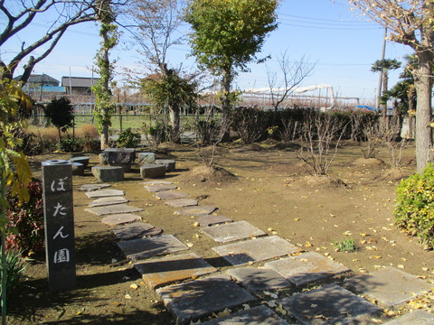 133善徳寺16