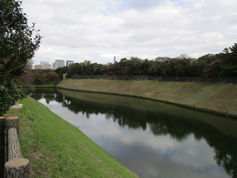 48千鳥ヶ淵公園5