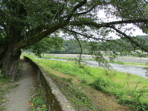 238遊歩道2