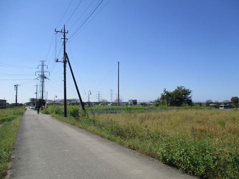 91柴山沼1