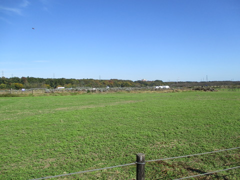 97ラベンダー園3