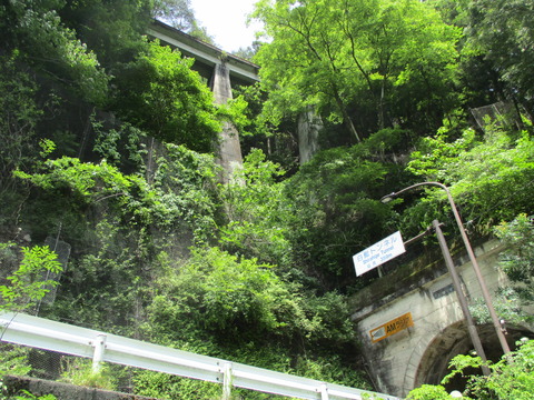 184白髭トンネル2