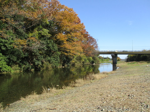 111嵐山渓谷4