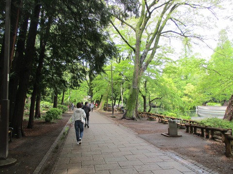 15園路