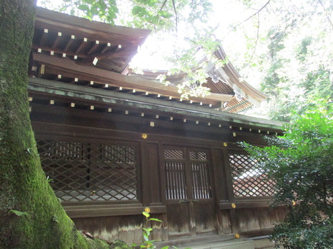 143熊野神社２８