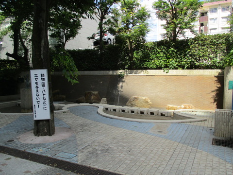 199谷端川親水公園1