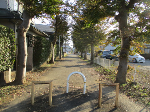 204歩行者専用道路2