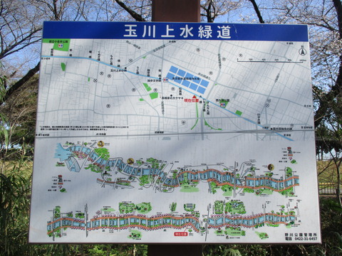 19玉川上水