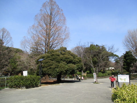 59公園出口４