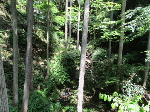 92橋4