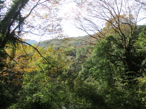 151山道2