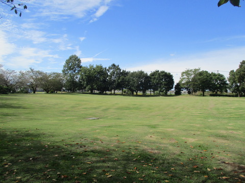 74騎西総合公園10
