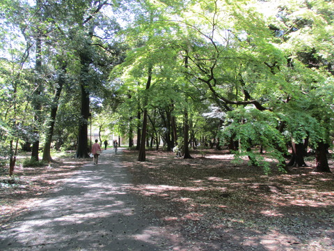 58第二公園3