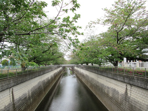 36上新田橋２