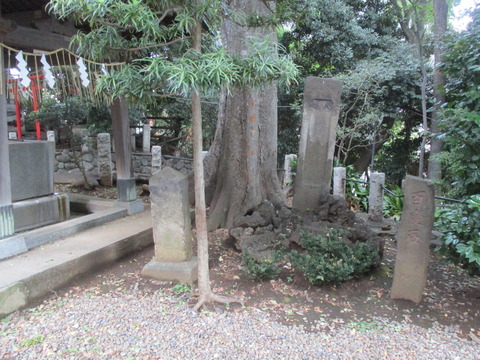 61駒繋神社5