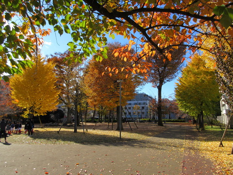151本五ふれあい公園3