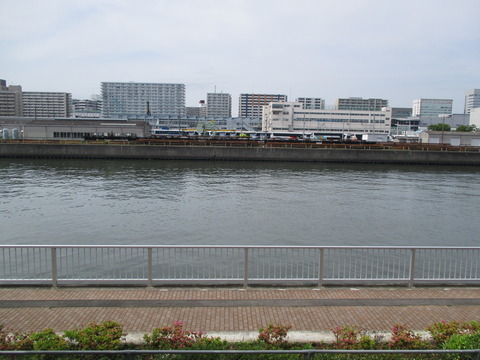 156ＮＯＶＡＲＥウォーク６