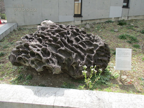 77南極・北極科学館4