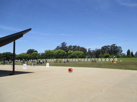 15夢の島公園８