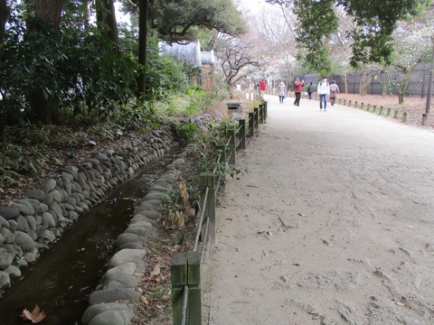 07散歩道1