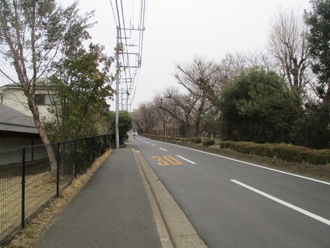 05玉川上水沿い2