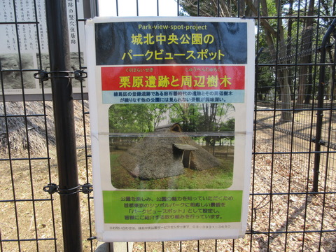 135栗原遺跡4