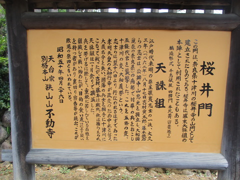 170桜井門5