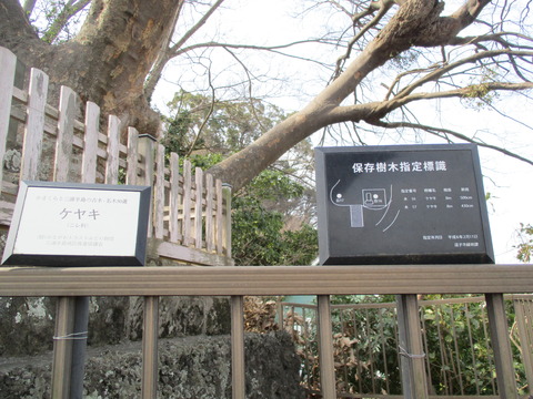 52六代御前8