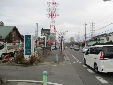 182ピーターパン1