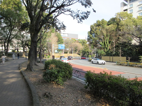 205銀杏坂