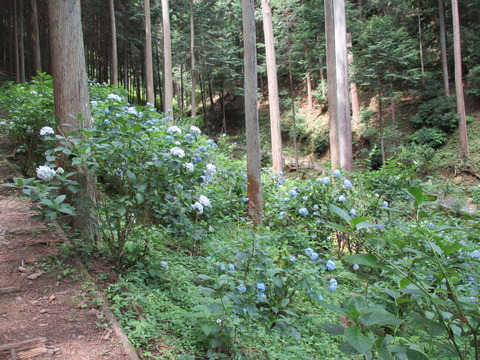 79対岸ルート9