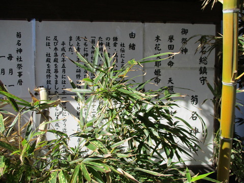 125由緒1