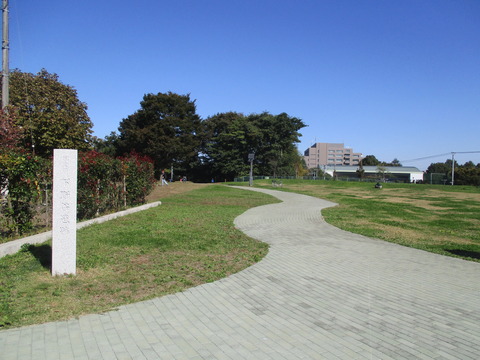 19下野谷遺跡公園３