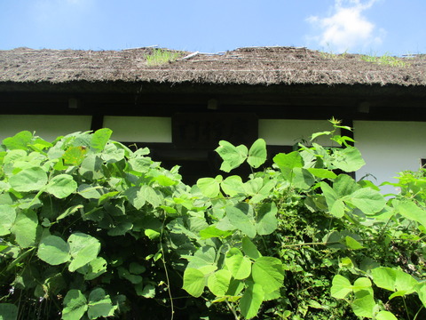 108慶性門3