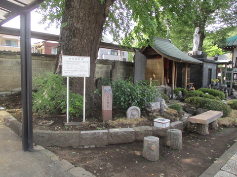 181円泉寺10