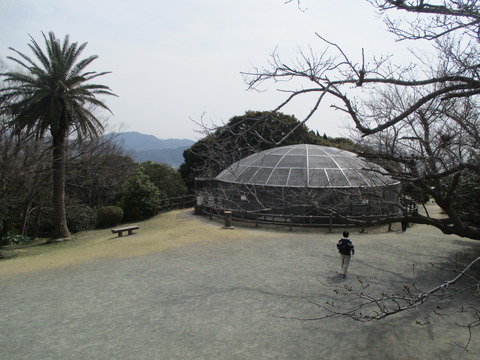 124披露山公園13