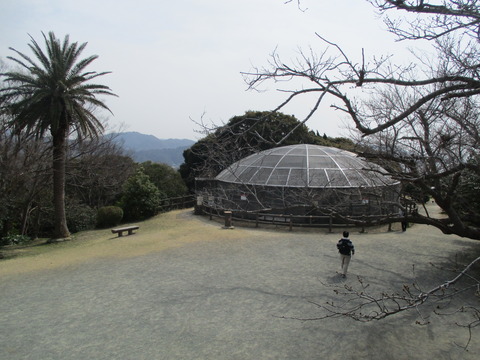 124披露山公園１３