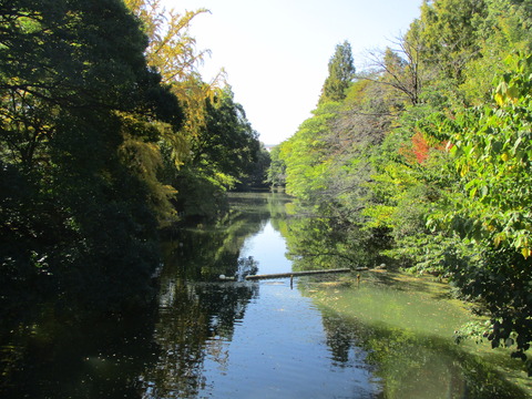 07武蔵関公園5