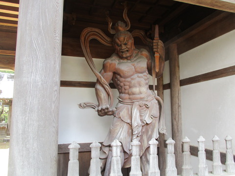 113山門6