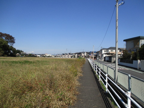 77水路沿い